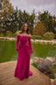 Antonia Enchanting Evening Gown