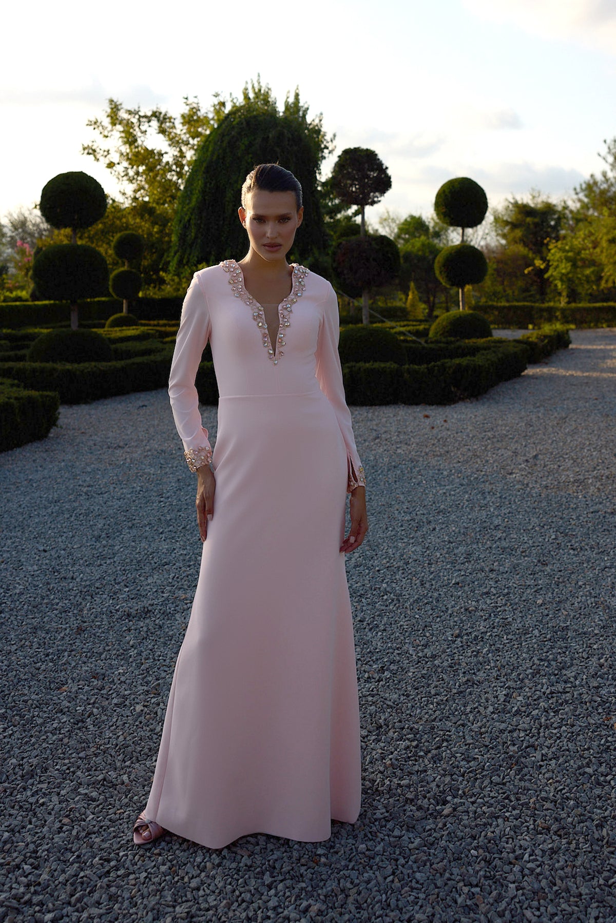 Elarisse Blush Embellished Long Sleeve Gown