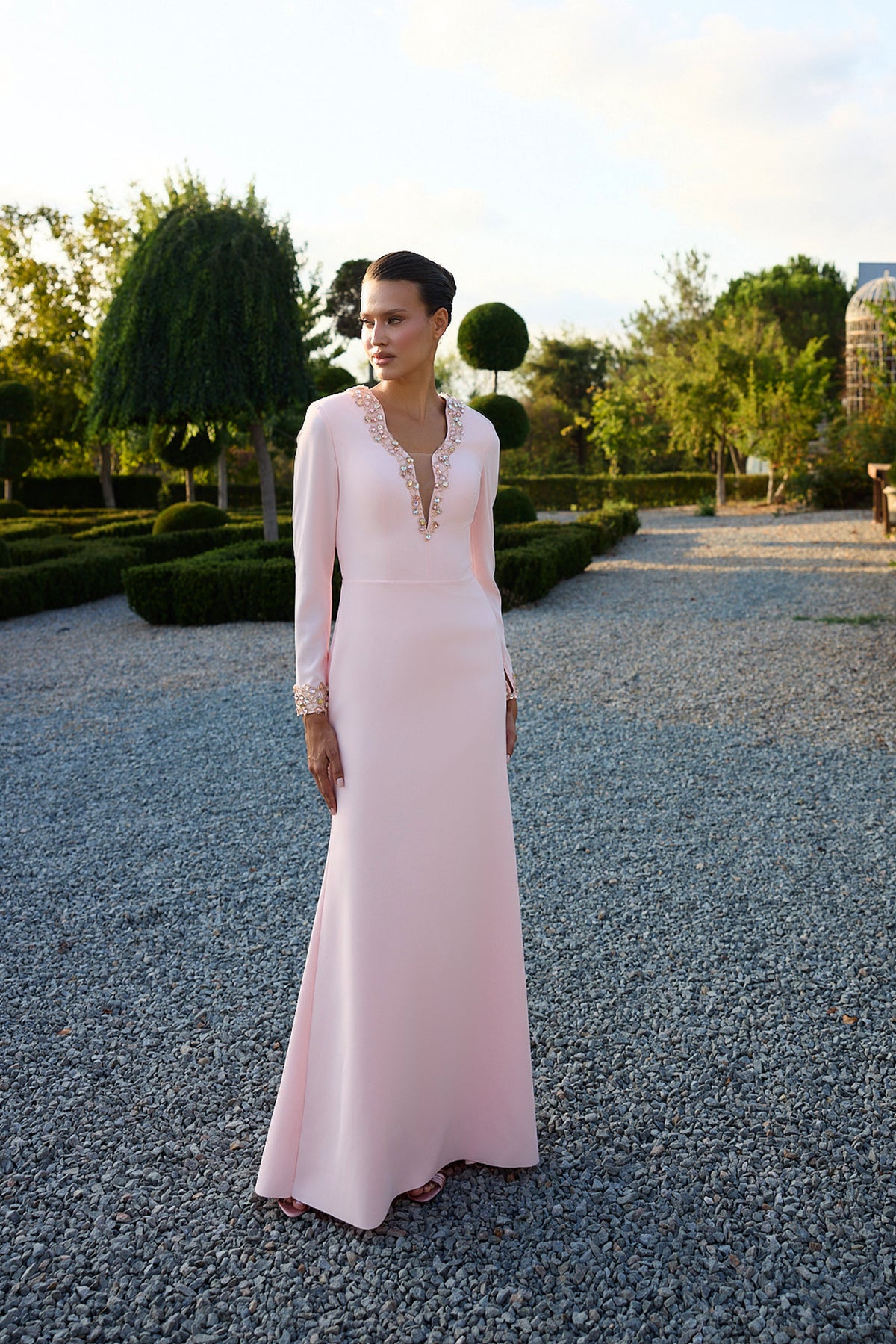 Elarisse Blush Embellished Long Sleeve Gown