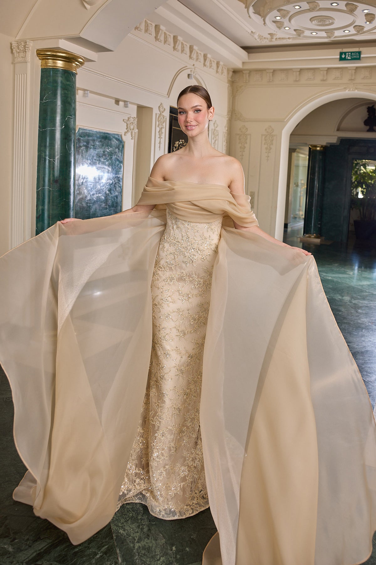 Leandra Embellished Off-Shoulder Evening Gown